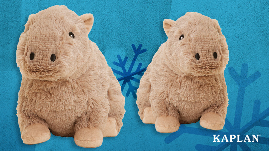 An image of two plush Warmies Microwavable Capybara stuffed animals. 