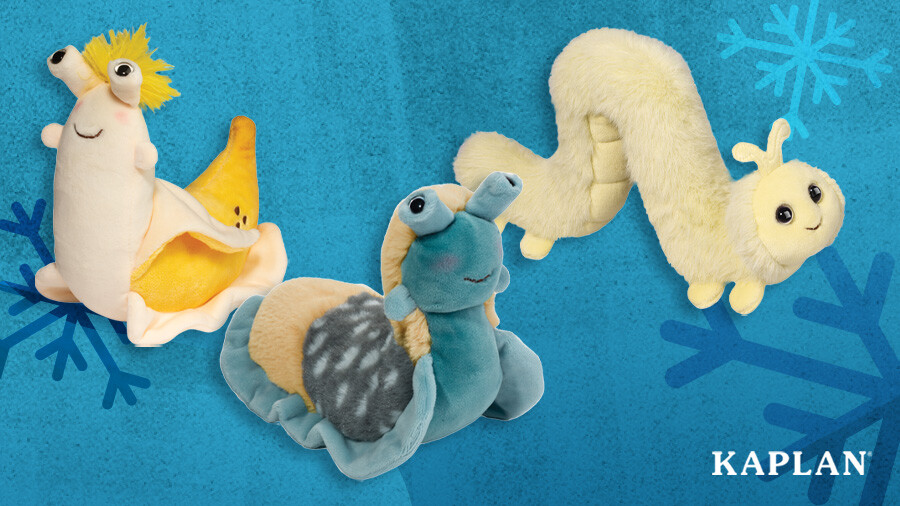 An image of three Garden Buddies Plush characters. 