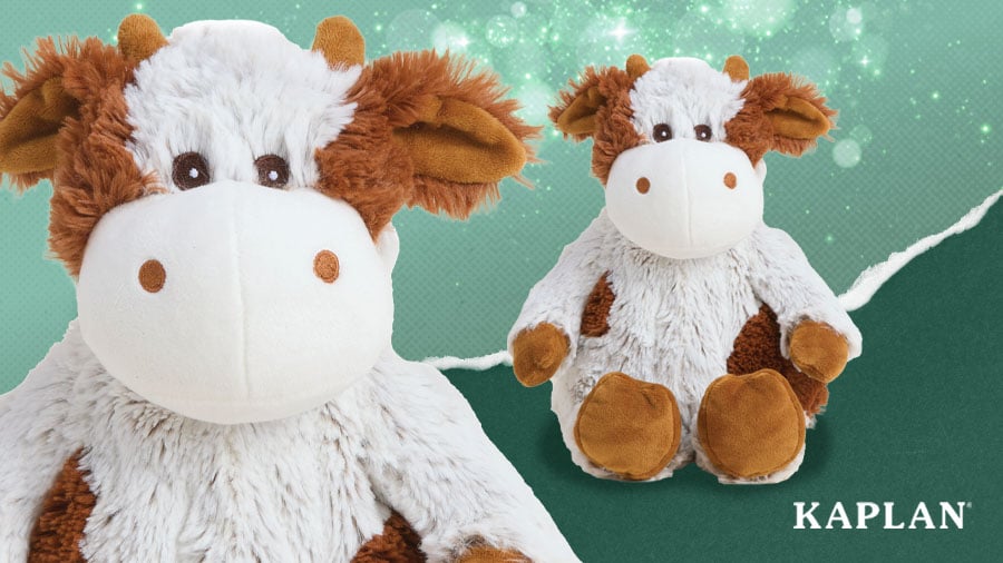 A close-up and wide shot of a Warmies Microwavable Plush Cow. 