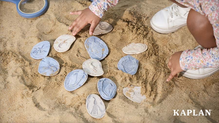 A young child uncovers fossil-imprinted stones in a sandbox