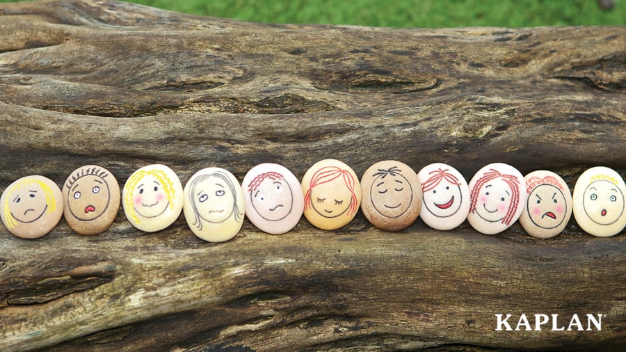 A set of Kaplan Emotion Stones laying on a wooden table. 