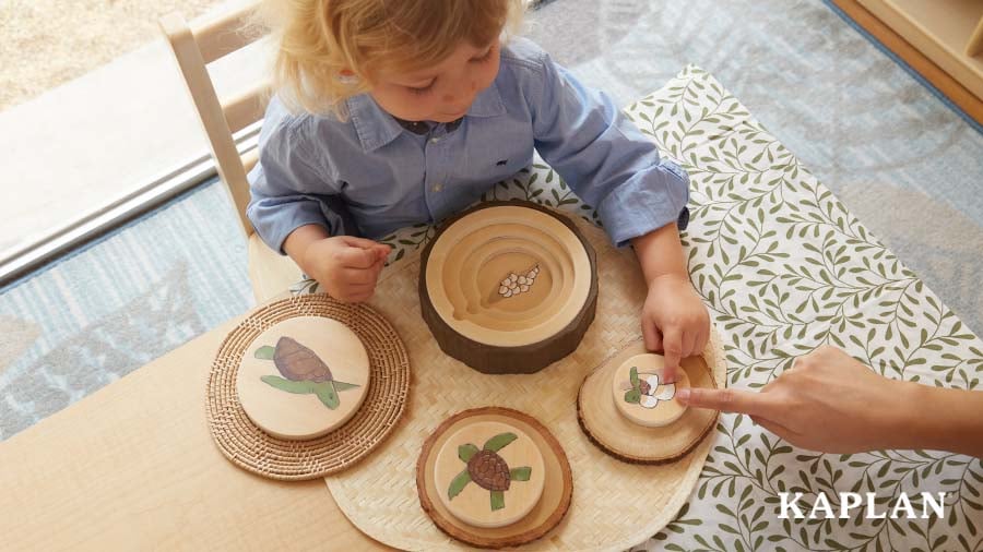 BLOG_A Life Cycle Activity to Enhance Early Literacy and Math Skills_body_img2_900x506