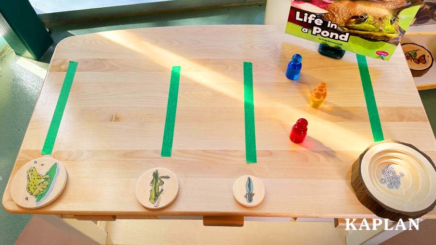 BLOG_A Life Cycle Activity to Enhance Early Literacy and Math Skills_body_img_900x506