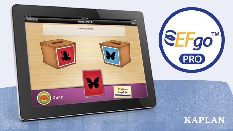 An image depicting a tablet with the EFGo activities and software visible on the screen.