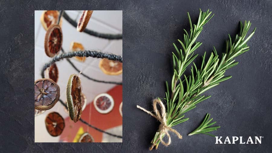 Images of a dried lemon mobile and fresh herbs on a solid black background