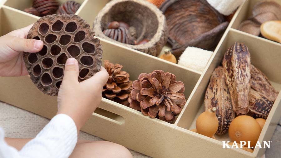 A young child is holding a pinecone in their hands, the pinecone is part of a Kaplan natural loose parts kit. 