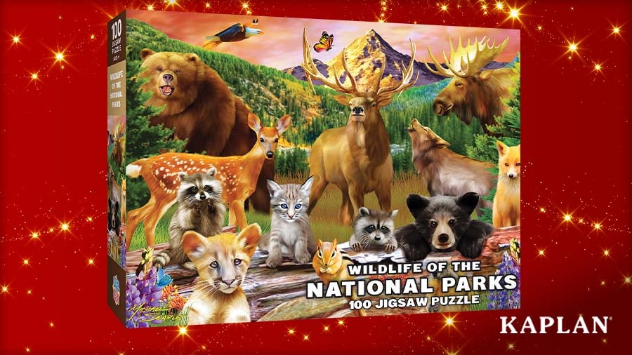 BLOG_The Best Educational Toys for School-Age Children_2026 Gift Guide_body_img3_900x506