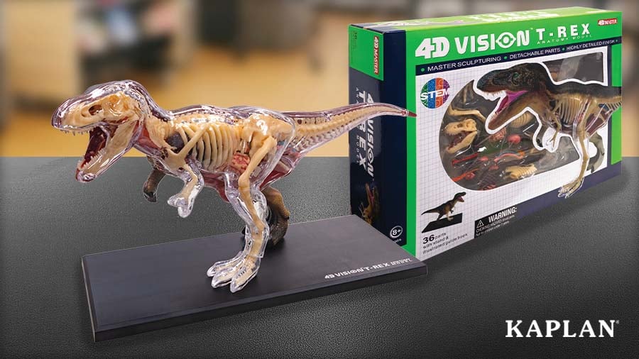 T-Rex Anatomy Model with a clear body showing the skeleton, beside its box