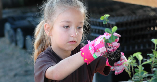 Read full post: Adding Rigor to Gardening Projects