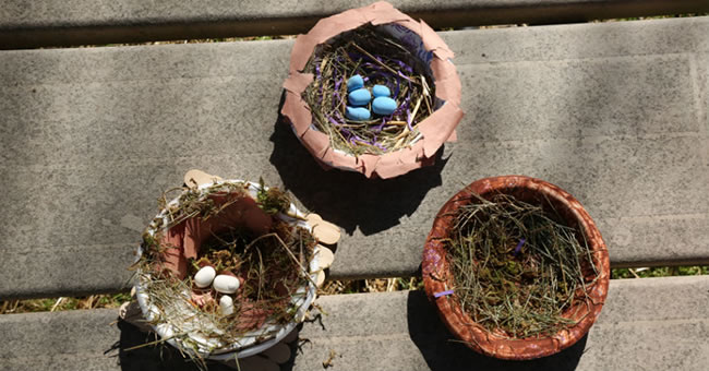 DIY Bird Nests