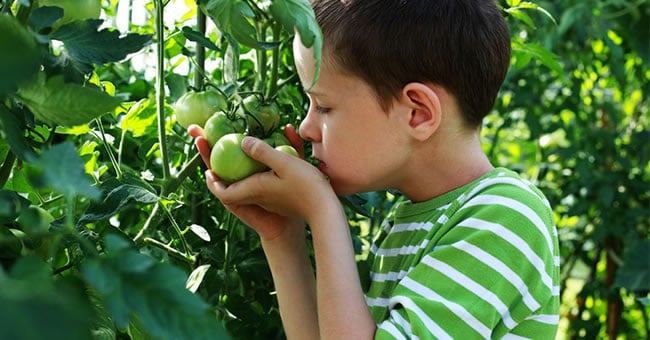 Using Gardening to Promote STEM