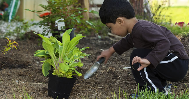 Incorporating Gardening in Lesson Plans | Kaplan Early Learning Company