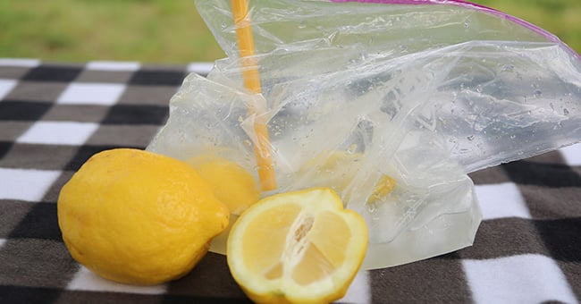 Lemonade in a Bag | Kaplan Early Learning Company