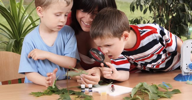 How to Set Up Your Preschool Nature and Science Learning Center