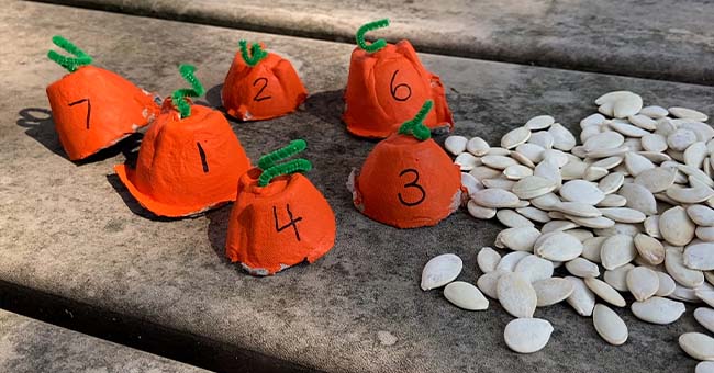 Pumpkin Seeds Math Activity