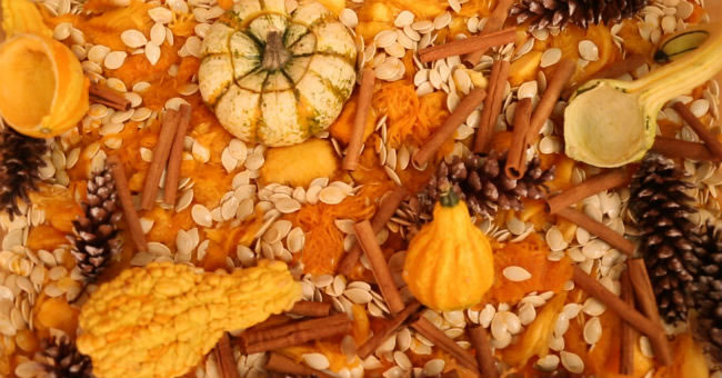 Pumpkin Sensory Activities