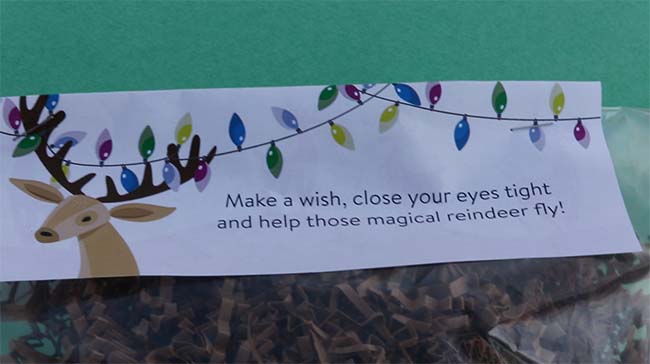 Reindeer Food Activity | Kaplan Early Learning Company