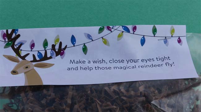 Read full post: Reindeer Food Activity