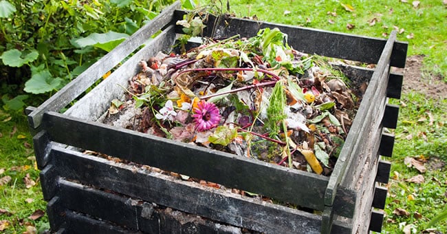 Setting Up an Outdoor Compost Bin
