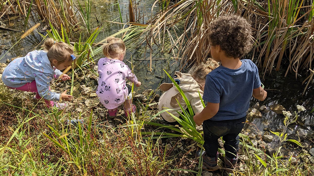 Is the NAture-Based Education Rating Scale (NABERS) for You?