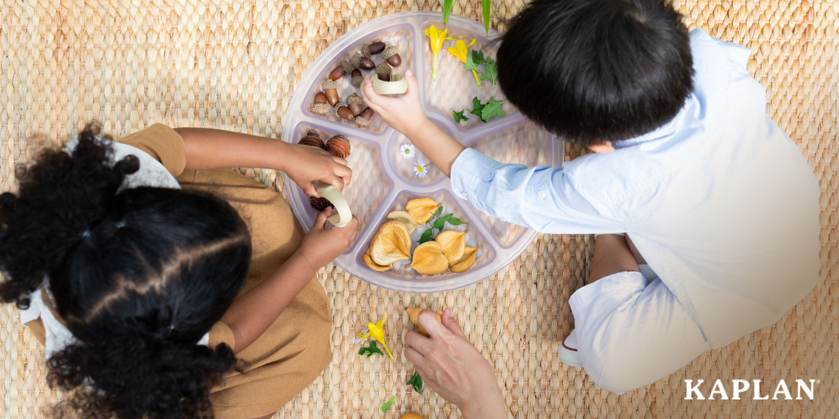 Featured image: An overhead image showing two children playing with natural loose parts items that are laying inside of a plastic loose parts tray.  - Read full post: Practical Benefits of Loose Parts Play in the Early Childhood Classroom